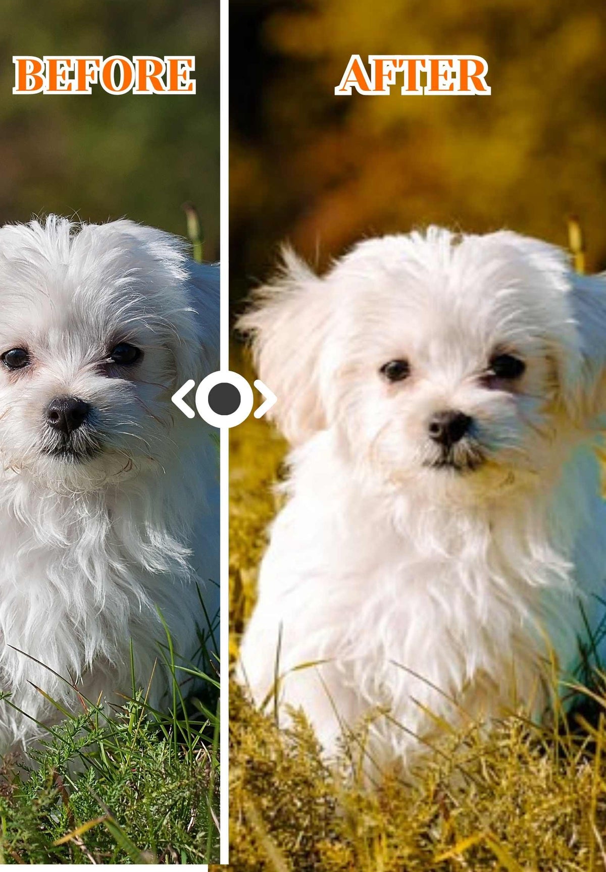 20 Mobile LIGHTROOM Presets, warm preset, lightroom mobile preset, Mobile Presets, Desktop Preset, Instagram, Family home